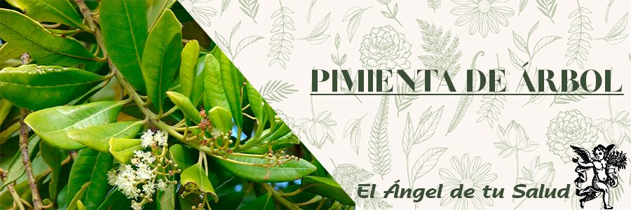 Trata los dolores menstruales por causa de: espasmos, de calambres y frío en el vientre y controla el flujo abundante de sangre durante el ciclo.