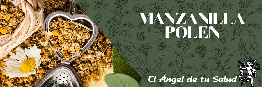 Hierba anual que alcanza de 25 a 50cm de altura y por lo general se ramifica. Las hojas están divididas en dos o tres partes, parecidas a encajes finos. Las cabezuelas son conjuntos de flores, con los centros amarillos y tienen florecillas de color blanco en la periferia, con pétalos largos caídos hacia afuera.