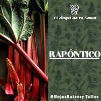 Los beneficios del Rapóntico van principalmente hacia el sistema digestivo eliminando parásitos intestinales y promoviendo la cicatrización de úlceras duodenales.