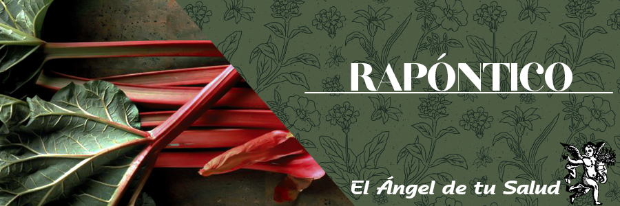 Frecuentemente es utilizado en la medicina tradicional china para tratamiento del estreñimiento y la inflamación por “calor” en el intestino debido a sus propiedades “refrigerantes” y su tropismo hacia los intestinos.