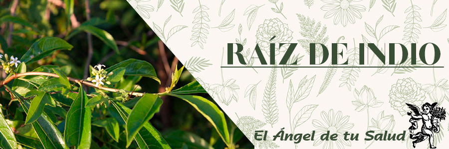 Popularmente es utilizada en el tratamiento de la anorexia, el decaimiento y la disminución de la libido. 