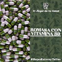 Las ramas de 1 a 1,5 m de alto, simples o ramificadas. Las hojas superiores son mucho máscortas que las basales. Flores pequeñas, verdosas,discretas, crecen en racimos alrededor de las axilas de la hoja. Fruto en nuez de 1,5 a 2 mm de largo por1,5 mm de ancho, liso, ovoide.