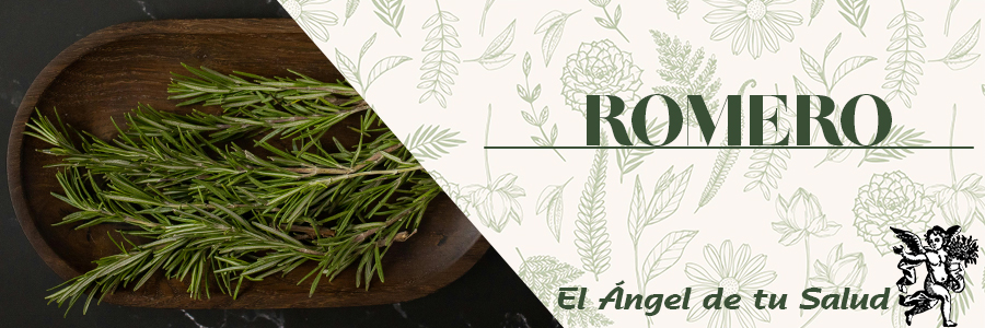 Los baños con infusión o decocción, y las fricciones con alcohol o con esencia de romero, tienen un interesante efecto estimulante en caso de hipotensión o de agotamiento físico. 