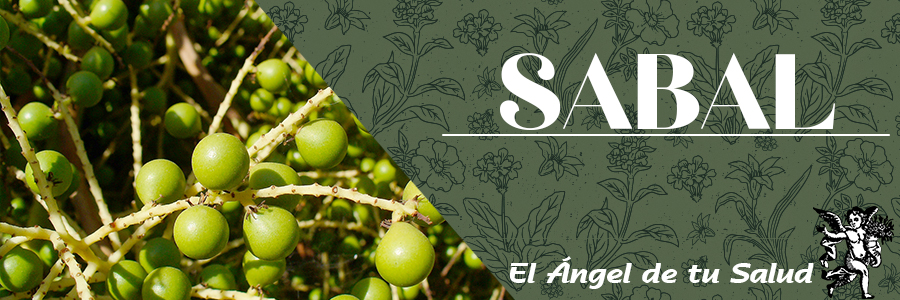 La capacidad de esta planta para actuar sobre las hormonas esta siendo aprovechado para tratar el desarrollo excesivo de vello sobre el cuerpo.