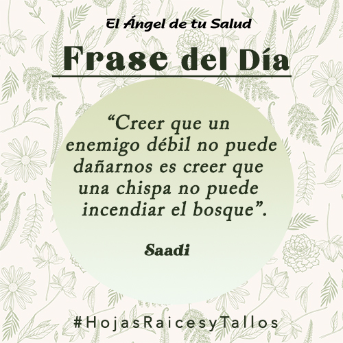 “Creer que un enemigo débil no puede dañarnos es creer que una chispa no puede incendiar el bosque” - Saadi