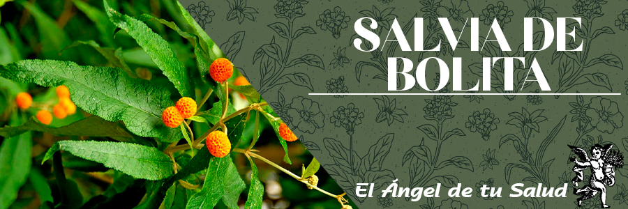  contra mareos, para los nervios y en soplos de corazón.