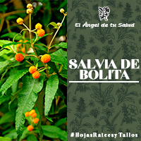 Con ella también se pueden hacer vinagres desinfectantes, y “lava-suelos compuestos”.