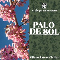 La corteza externa del Palo de Sol es escamosa y ligeramente fisurada, pardo amarillenta a pardo grisácea y la interna es de color crema amarillenta, fibrosa, con olor y sabor a rábano. Es un alto antiséptico ya que mata insectos, ácaros y hongos.