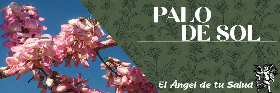 La Gliricidia sepium, mejor conocida como Palo de Sol, es un arbusto que puede llegar más o menos hasta una altura de 12 metros, sus ramas son largas, arqueadas, frondosas, cilíndricas y plumosas, con un diámetro basal que oscila de 40 a 70 centímetros de diámetro. En una rama bien desarrollada se llegan a contar hasta 60 hojas compuestas y de 3 a 9 foliolos por hoja.