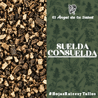 La Suelda Consuelda es una planta medicinal de propiedades antiinflamatorias y cicatrizantes recomendada en uso externo para tratar fracturas menores de las articulaciones, artritis, esguinces y otros traumatismos