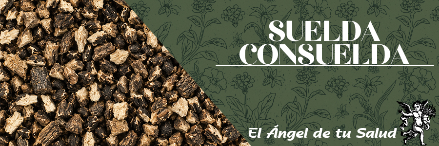 La Suelda Consuelda es una planta utilizada como remedio natural contra las hemorroides, ya que reduce la inflamación y el dolor propio de esta afección.