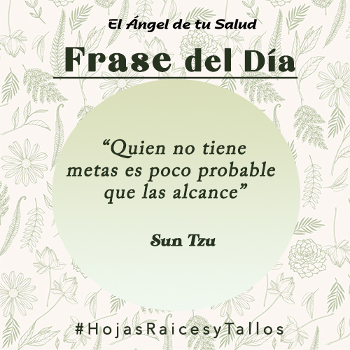  “Quien no tiene metas es poco probable que las alcance” - Sun Tzu