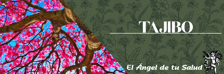 También se utiliza en caso de que exista una mala circulación de la sangre y para problemas del aparato circulatorio, como ateroesclerosis, trombosis y anginas de pecho, ya que disminuye la agregación plaquetaria.