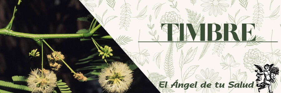 El Timbre desparasita, se indica su uso con úlceras, sangrado interno, cuando se descubren hilos de sangre en la evacuación, con inflamación estomacal por mala alimentación, por estrés o por gases.