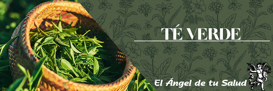 El té verde contiene antioxidantes conocidos como polifenoles que atacan a los radicales libres. Lo que significa que ayuda a combatir los efectos del envejecimiento y promueve la longevidad.
