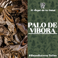 El Palo de Víbora ayuda a padecimientos estomacales, por ejemplo: alivia el dolor de estómago y las malas digestiones, dolores abdominales, parásitos intestinales, disentería, diarrea y el estreñimiento actuando como un laxante y purgante.