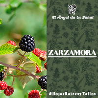 Tienen efecto beneficioso sobre las afatas bucales, gingivitis, estomatitis, faringitis y amigdalitis.