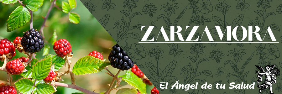 Por su alto contenido en taninos su principal efecto es el astringente. 